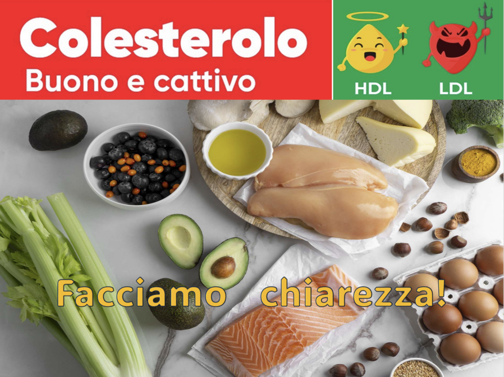 COLESTEROLO BUONO o CATTIVO?